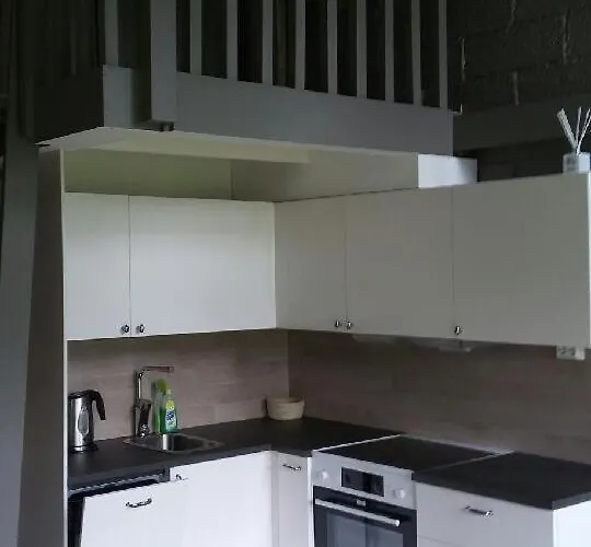 Apartman 12 - Fulufjellets Nasjonalparker - Sno - Alpint - Langrenn - Snoscooter *