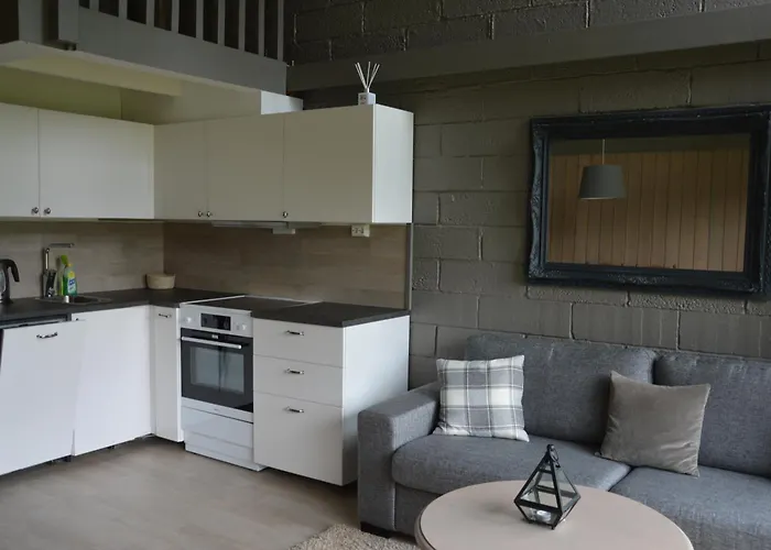 Apartman 12 - Fulufjellets Nasjonalparker - Sno - Alpint - Langrenn - Snoscooter Ljørdal