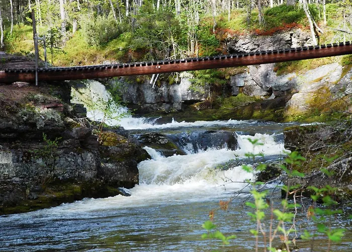 12 - Fulufjellets Nasjonalparker - Sno - Alpint - Langrenn - Snoscooter Ljørdal