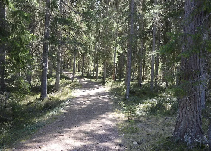 12 - Fulufjellets Nasjonalparker - Sno - Alpint - Langrenn - Snoscooter * Ljørdal