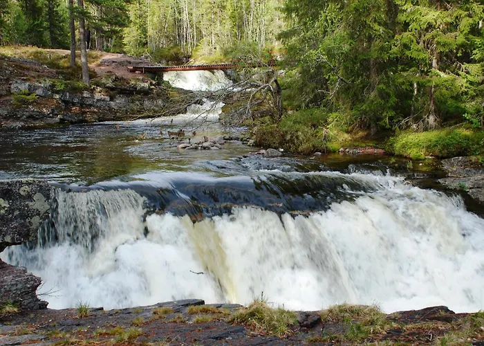 Apartman 12 - Fulufjellets Nasjonalparker - Sno - Alpint - Langrenn - Snoscooter