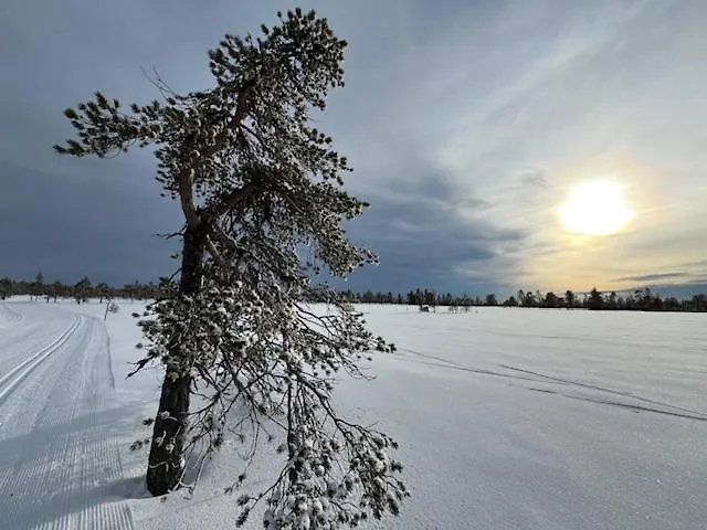 Apartman 12 - Fulufjellets Nasjonalparker - Sno - Alpint - Langrenn - Snoscooter Ljørdal