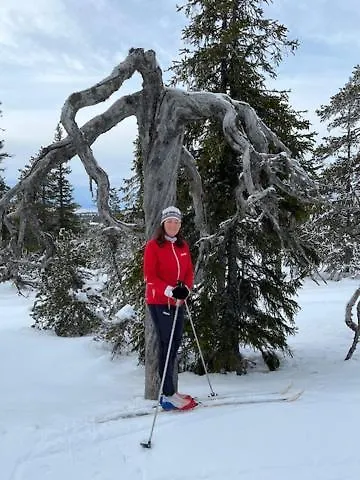 12 - Fulufjellets Nasjonalparker - Sno - Alpint - Langrenn - Snoscooter Apartman Ljørdal