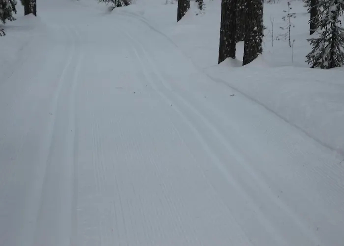 Appartement 12 - Fulufjellets Nasjonalparker - Sno - Alpint - Langrenn - Snoscooter