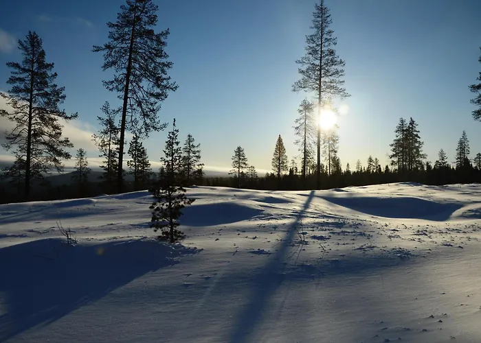 12 - Fulufjellets Nasjonalparker - Sno - Alpint - Langrenn - Snoscooter Apartman *