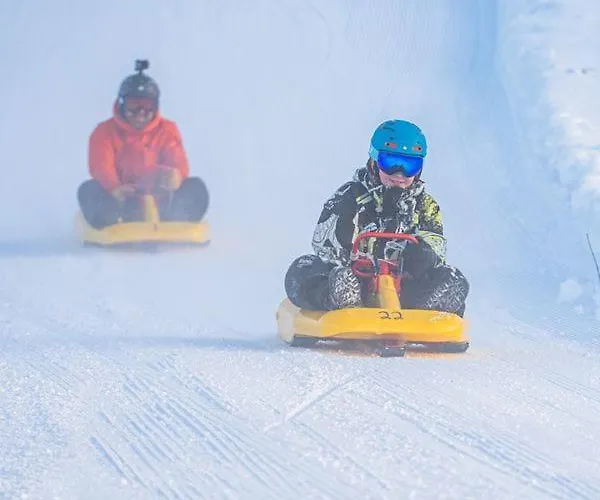 12 - Fulufjellets Nasjonalparker - Sno - Alpint - Langrenn - Snoscooter Apartman