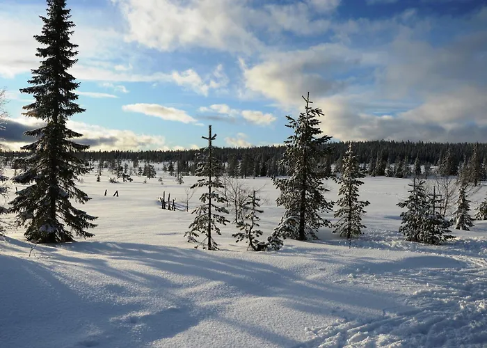 Apartman 12 - Fulufjellets Nasjonalparker - Sno - Alpint - Langrenn - Snoscooter Ljørdal
