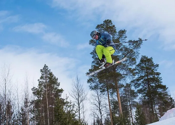 12 - Fulufjellets Nasjonalparker - Sno - Alpint - Langrenn - Snoscooter Ljørdal