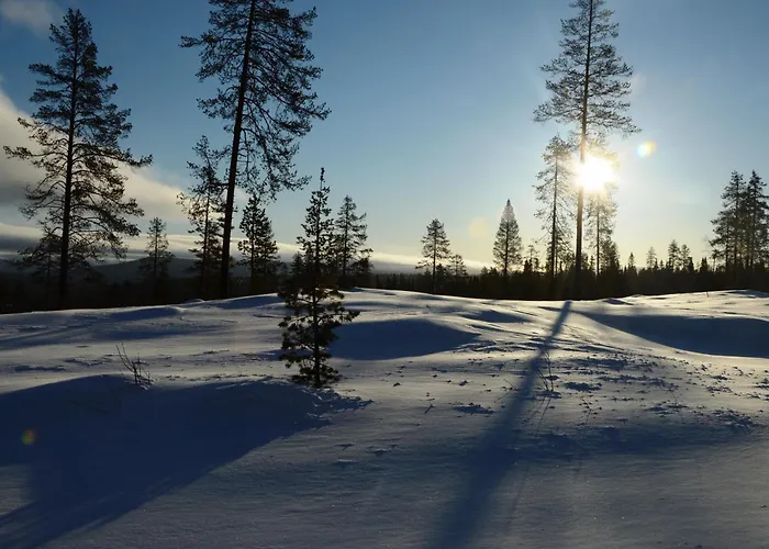 12 - Fulufjellets Nasjonalparker - Sno - Alpint - Langrenn - Snoscooter * Ljørdal