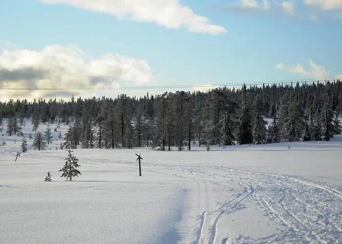 12 - Fulufjellets Nasjonalparker - Sno - Alpint - Langrenn - Snoscooter Apartman