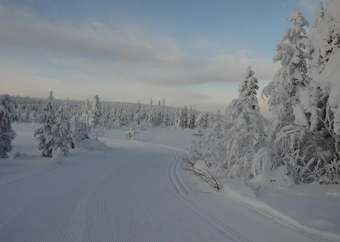 12 - Fulufjellets Nasjonalparker - Sno - Alpint - Langrenn - Snoscooter Apartman *