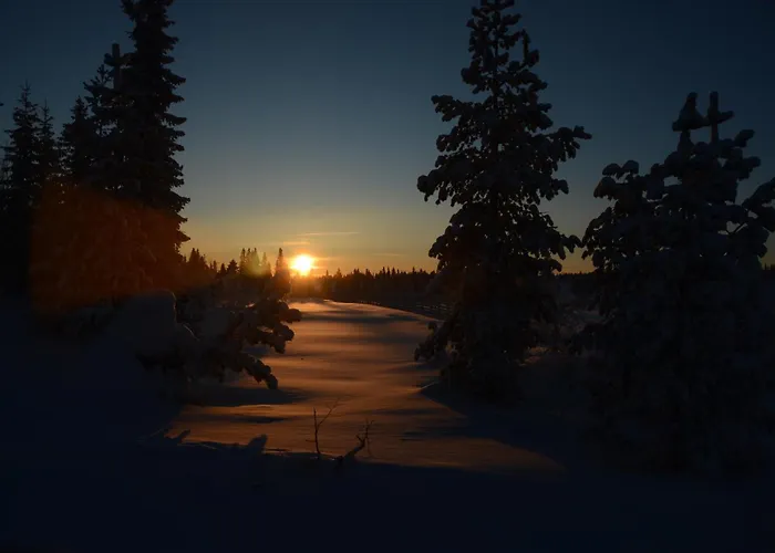 Apartman 12 - Fulufjellets Nasjonalparker - Sno - Alpint - Langrenn - Snoscooter Ljørdal