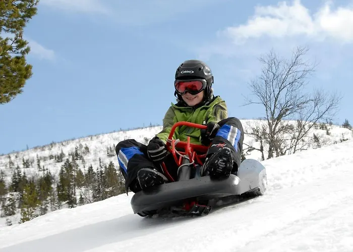 12 - Fulufjellets Nasjonalparker - Sno - Alpint - Langrenn - Snoscooter * Ljørdal