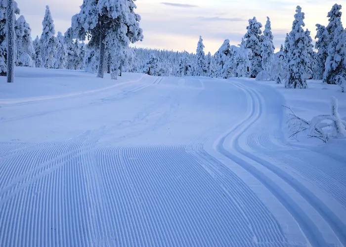 12 - Fulufjellets Nasjonalparker - Sno - Alpint - Langrenn - Snoscooter