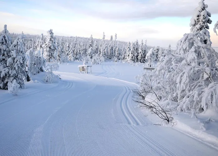 12 - Fulufjellets Nasjonalparker - Sno - Alpint - Langrenn - Snoscooter Appartement Ljørdal