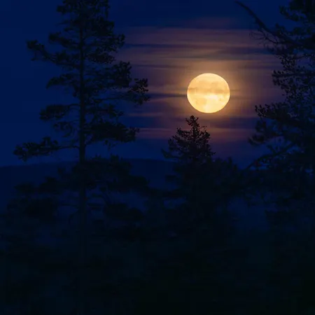 12 - Fulufjellets National Parks - Is The Place Where Norway And Sweden Meet In A Large Protected Area For Animals And Nature アパート Ljørdal