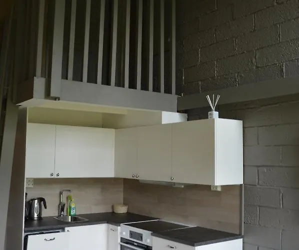 12 - Fulufjellets Nasjonalparker - Sno - Alpint - Langrenn - Snoscooter