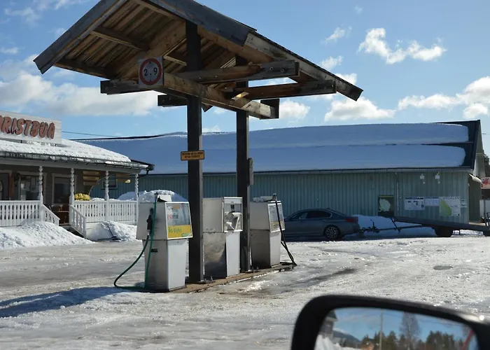 12 - Fulufjellets Nasjonalparker - Sno - Alpint - Langrenn - Snoscooter Appartement Ljørdal