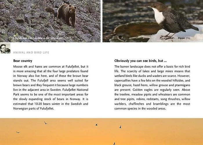 12 - Fulufjellets Nasjonalparker - Sno - Alpint - Langrenn - Snoscooter *