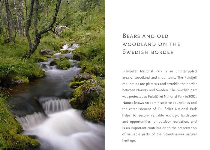 Appartement 12 - Fulufjellets Nasjonalparker - Sno - Alpint - Langrenn - Snoscooter Ljørdal