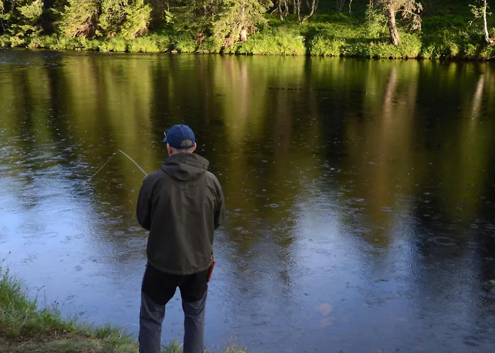 12 - Fulufjellets Nasjonalparker - Sno - Alpint - Langrenn - Snoscooter Appartement *