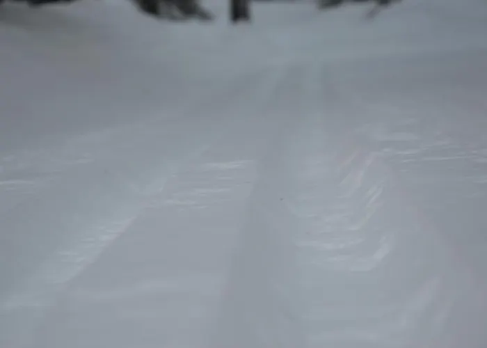 12 - Fulufjellets Nasjonalparker - Sno - Alpint - Langrenn - Snoscooter * Ljørdal