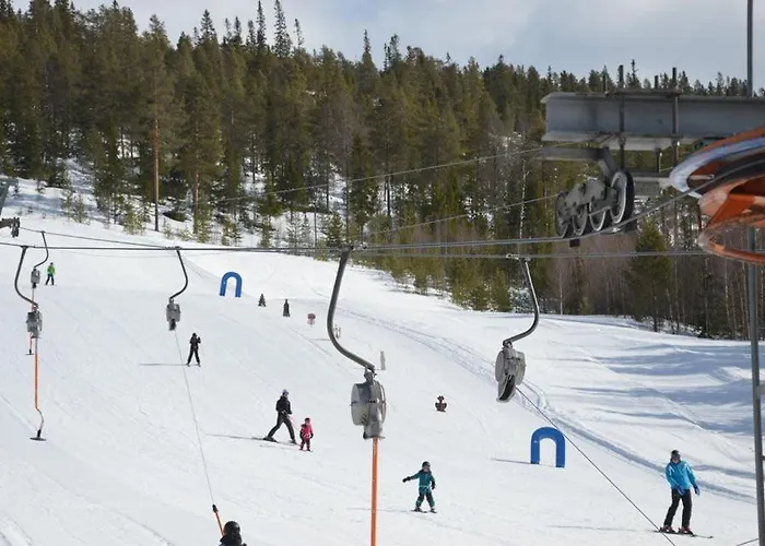 12 - Fulufjellets Nasjonalparker - Sno - Alpint - Langrenn - Snoscooter