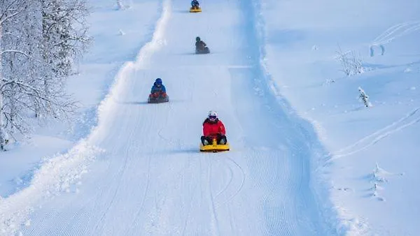 12 - Fulufjellets Nasjonalparker - Sno - Alpint - Langrenn - Snoscooter *