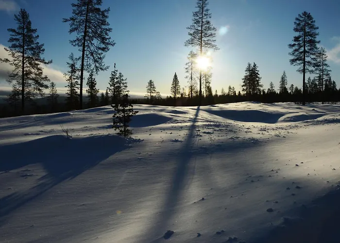 12 - Fulufjellets Nasjonalparker - Sno - Alpint - Langrenn - Snoscooter * Ljørdal