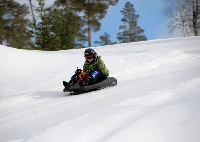 12 - Fulufjellets Nasjonalparker - Sno - Alpint - Langrenn - Snoscooter *