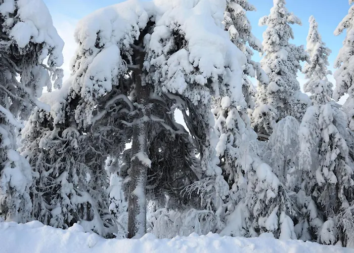 Appartement 12 - Fulufjellets Nasjonalparker - Sno - Alpint - Langrenn - Snoscooter *