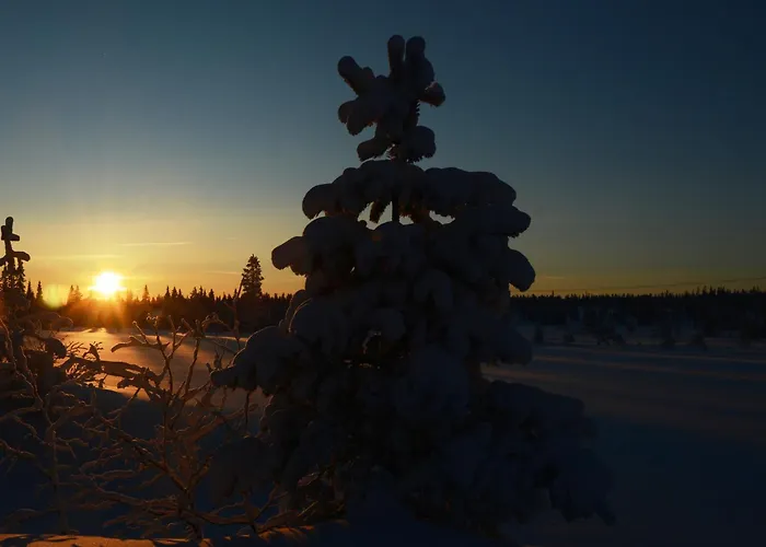 12 - Fulufjellets Nasjonalparker - Sno - Alpint - Langrenn - Snoscooter Appartement Ljørdal