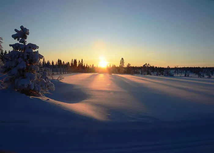 12 - Fulufjellets Nasjonalparker - Sno - Alpint - Langrenn - Snoscooter *