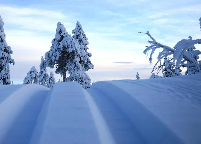 12 - Fulufjellets Nasjonalparker - Sno - Alpint - Langrenn - Snoscooter * Ljørdal