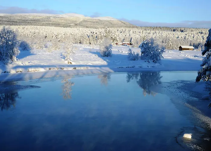 12 - Fulufjellets Nasjonalparker - Sno - Alpint - Langrenn - Snoscooter *