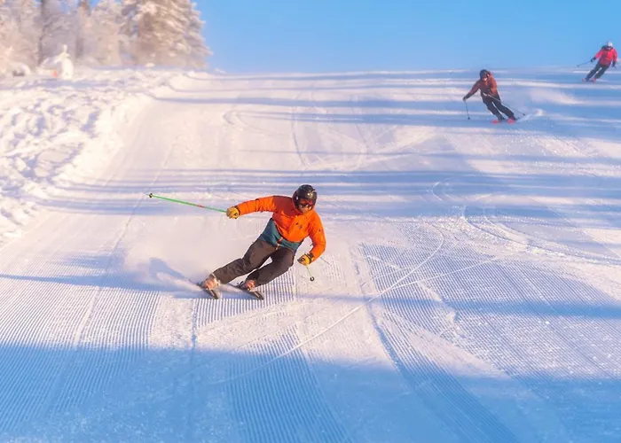 12 - Fulufjellets Nasjonalparker - Sno - Alpint - Langrenn - Snoscooter Ljørdal