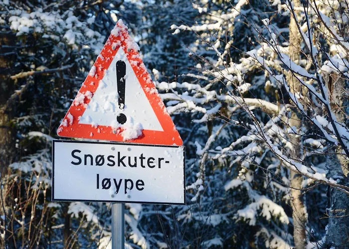 12 - Fulufjellets Nasjonalparker - Sno - Alpint - Langrenn - Snoscooter * Ljørdal